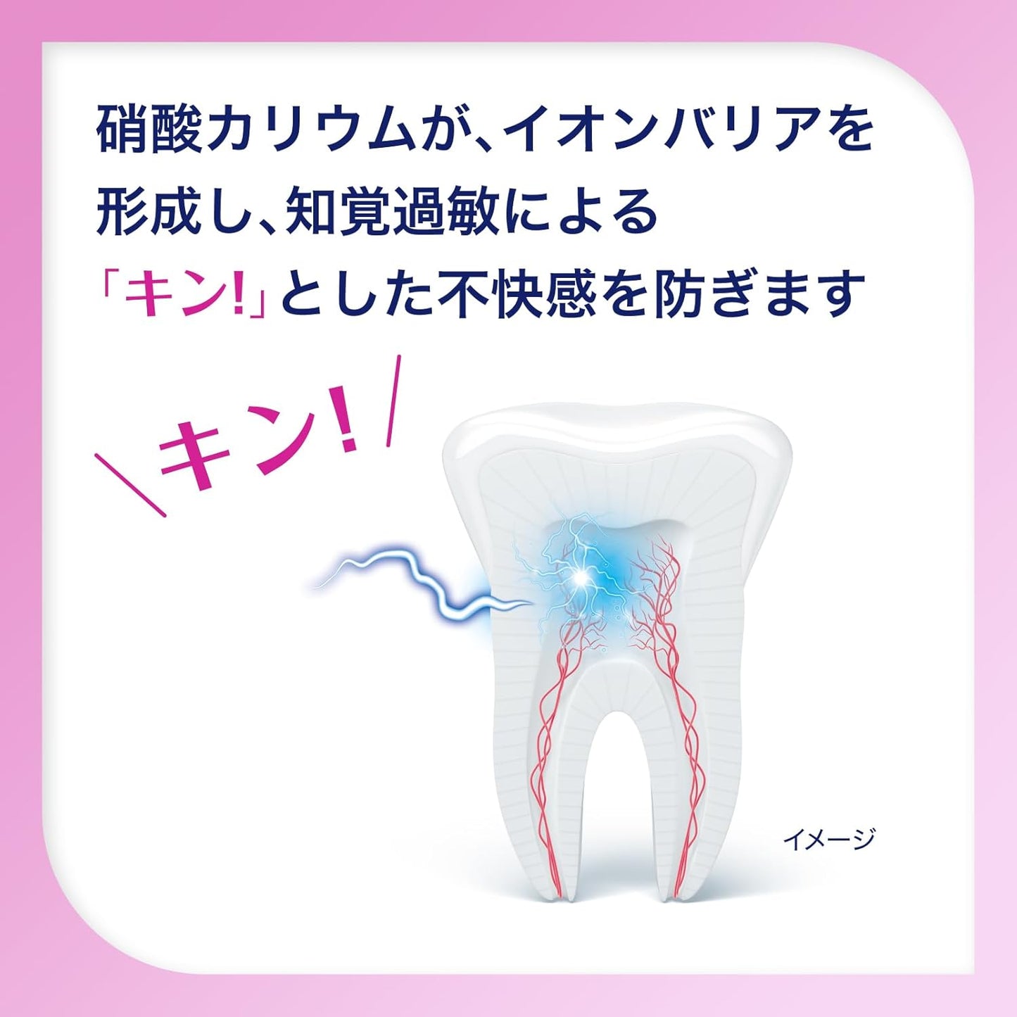 슈미텍트 치주병 케어 치약 지각과민증 케어 고농도 불소 함유 2개 세트
