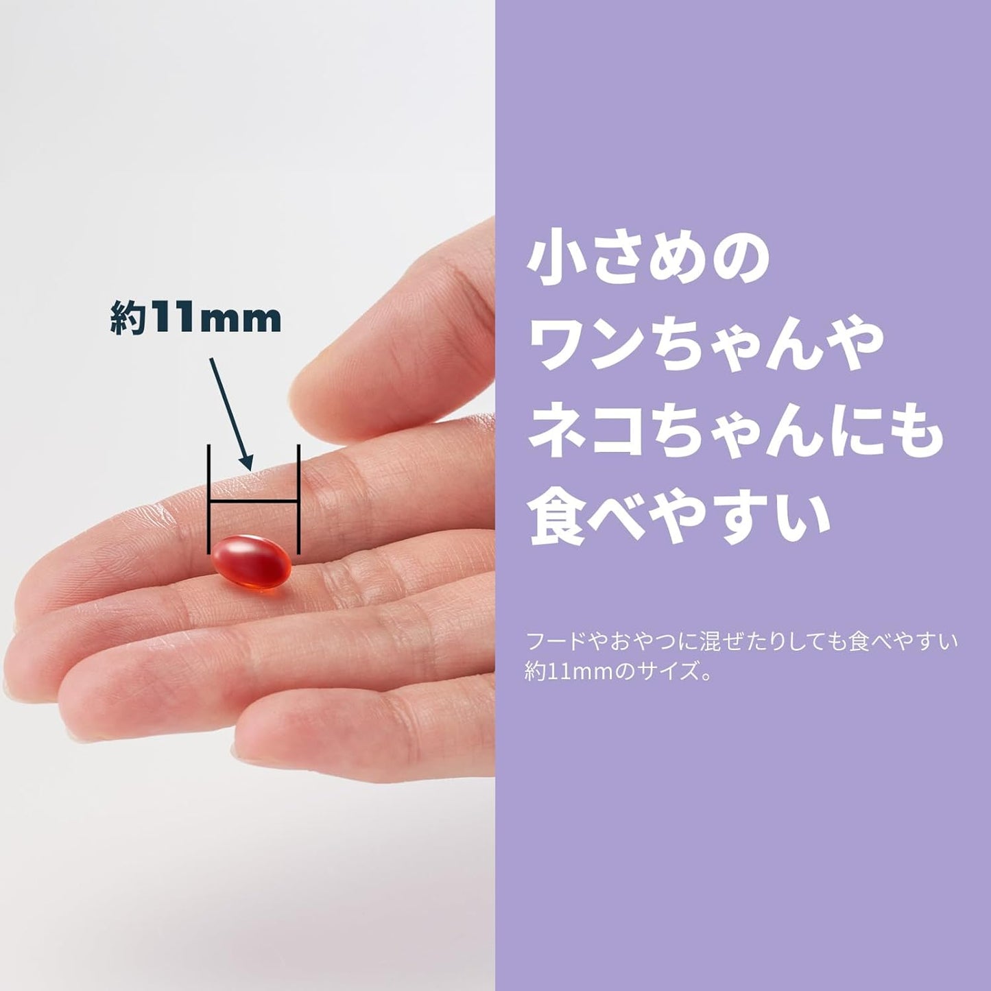 Vetz Petz 안티놀 플러스 강아지용 서플리먼트 (60캡슐)