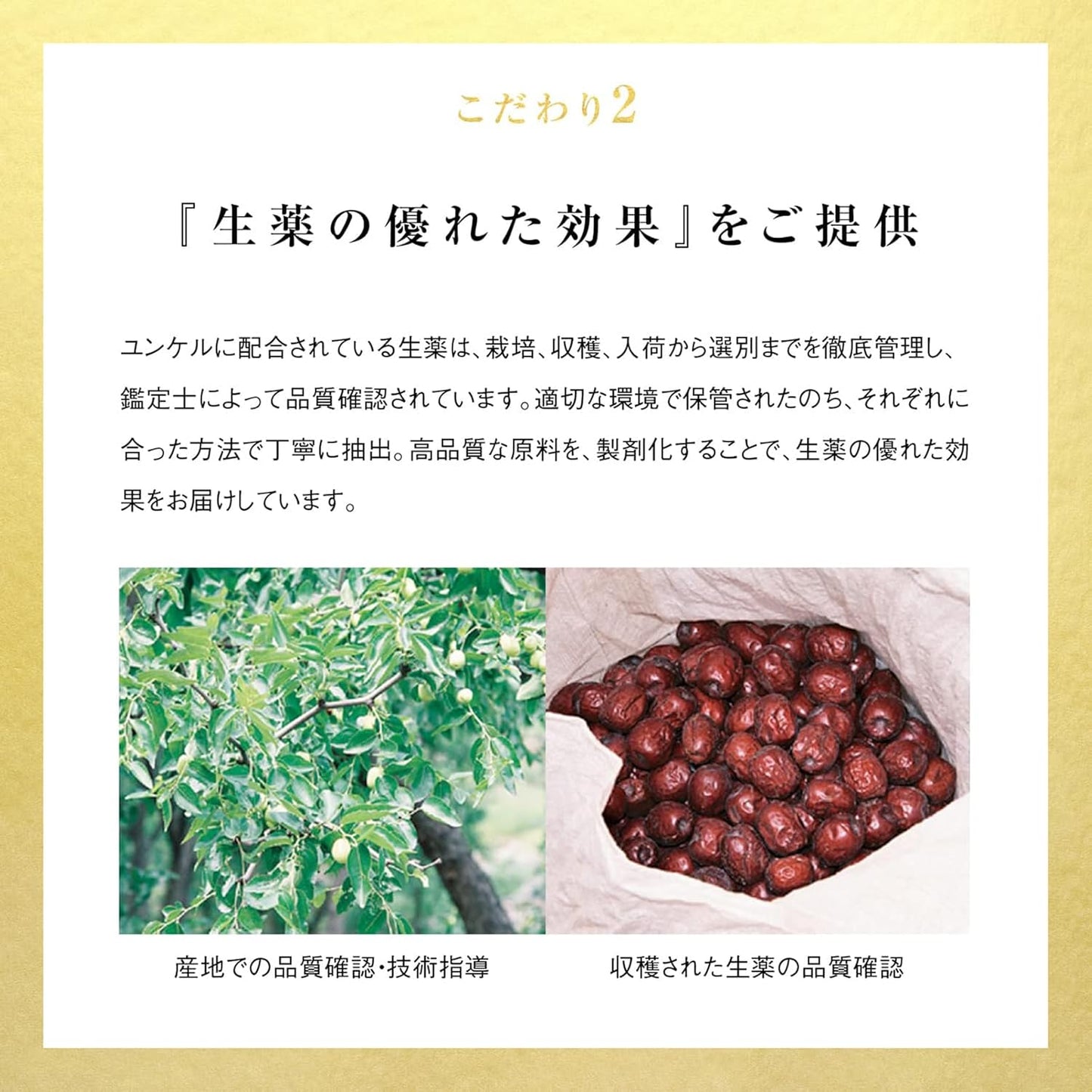 윤케르 황제 30mL × 10병 (자양강장・피로회복・영양보급)