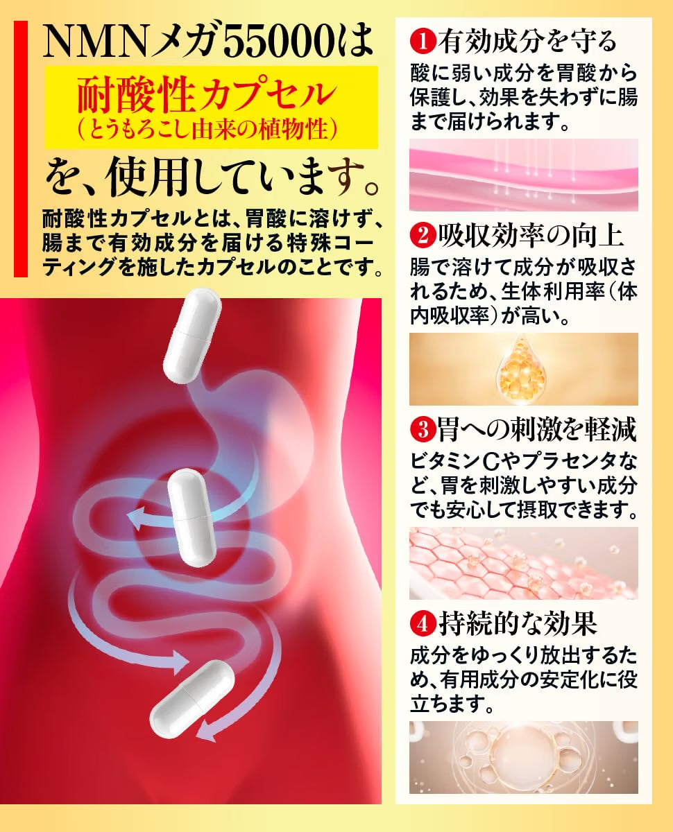 CLAUDIA 클라우디아 NMN 메가 55000mg 고순도 99.9% 120캡슐 약 4개월분 일본제조