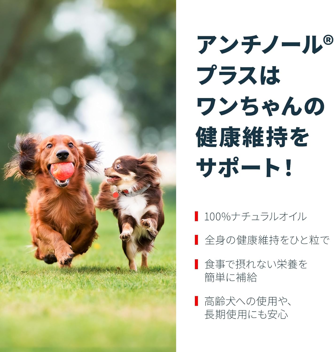 Vetz Petz 안티놀 플러스 강아지용 서플리먼트 (60캡슐)