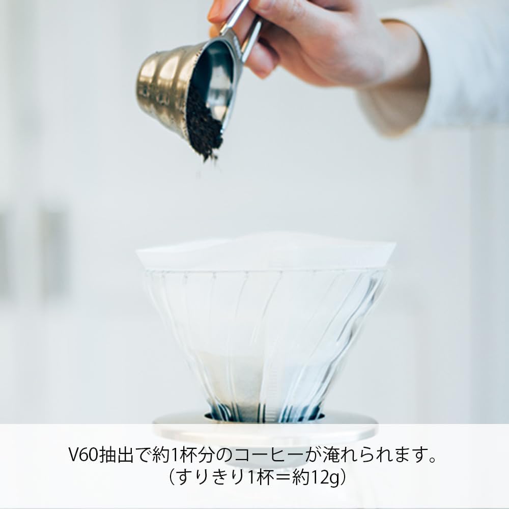 HARIO(하리오) V60 계량 스푼 실버 (커피 분말용, 12g)