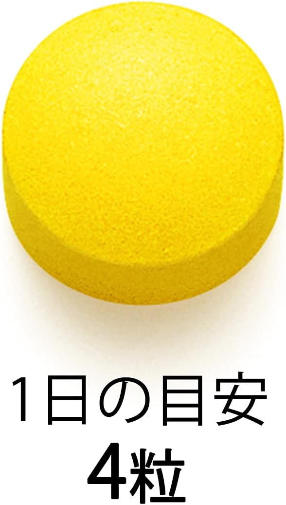 FANCL 중성지방 서포트 90일분 (30일분 × 3봉)