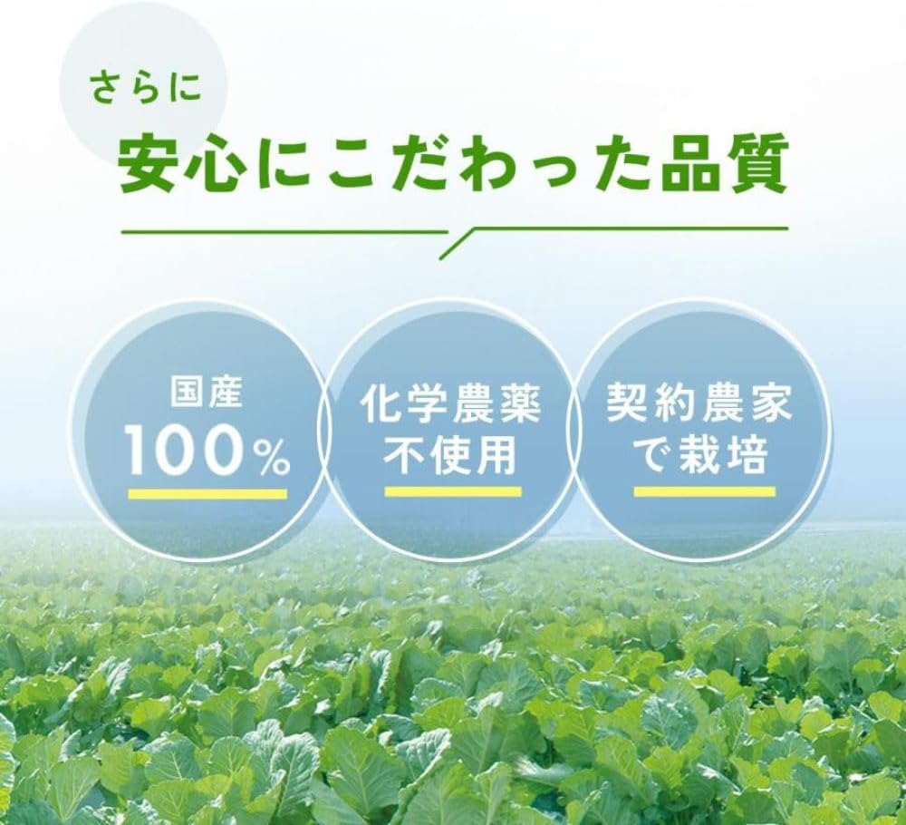 FANCL 판클 1일분 케일 녹즙 30포 (10g × 30스틱)