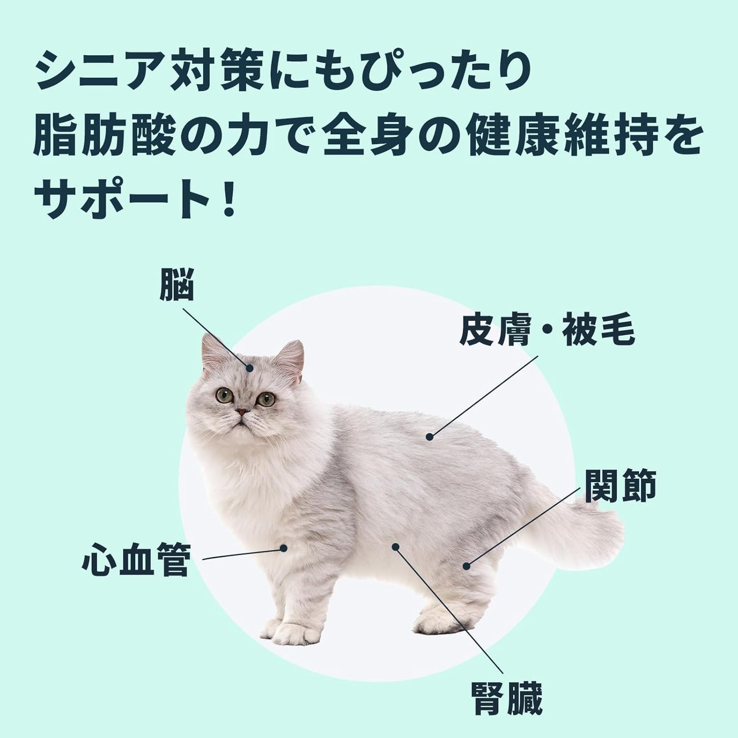 안티놀 플러스 고양이 보조 애완동물 보충제 고양이 용품 닥터스케어 신장 신장 케어 30알