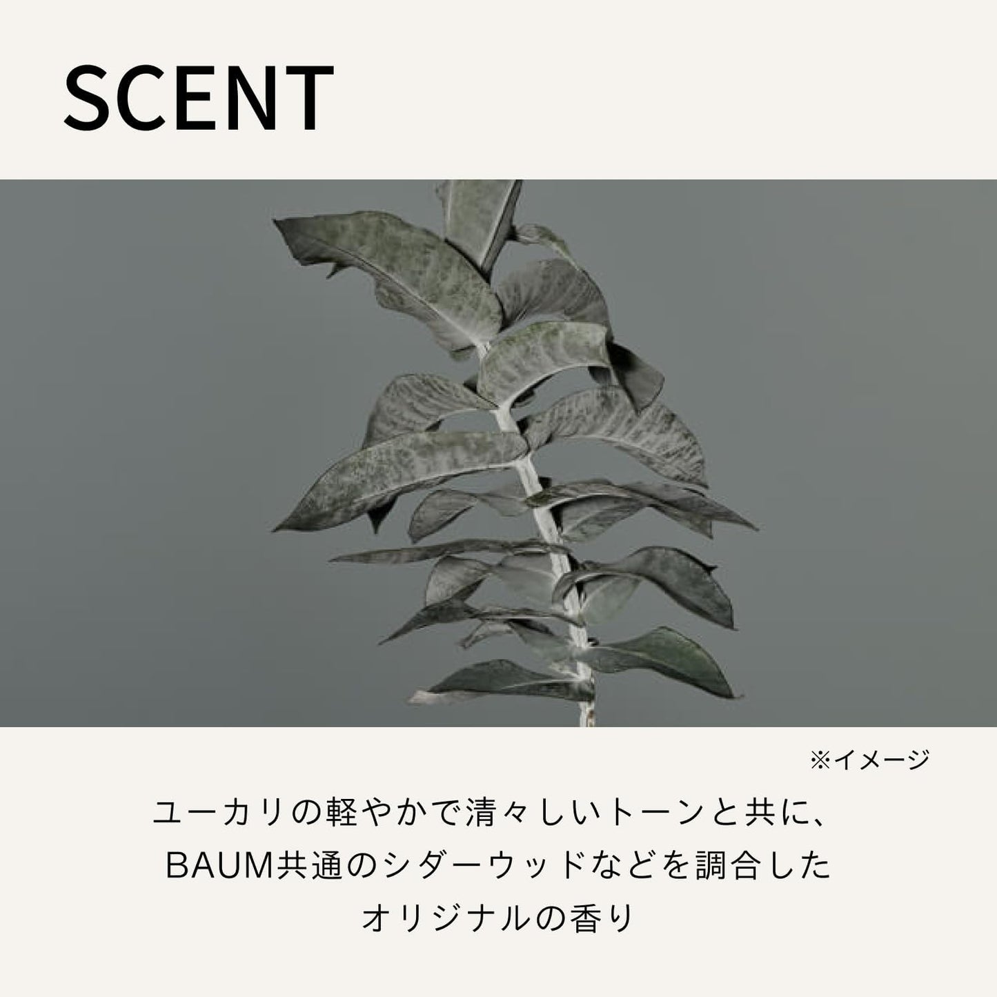 BAUM 아로마틱 슬리핑 마스크 a (리필용) 80g