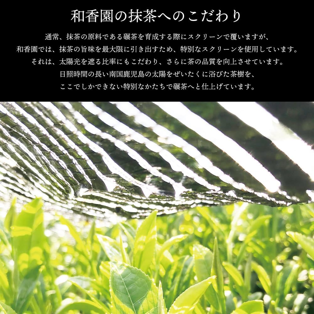 와코엔 말차 황의 향기 100g 파우치 일본 가고시마산 국산 말차 말차파우더/말차라떼/말차 스위츠