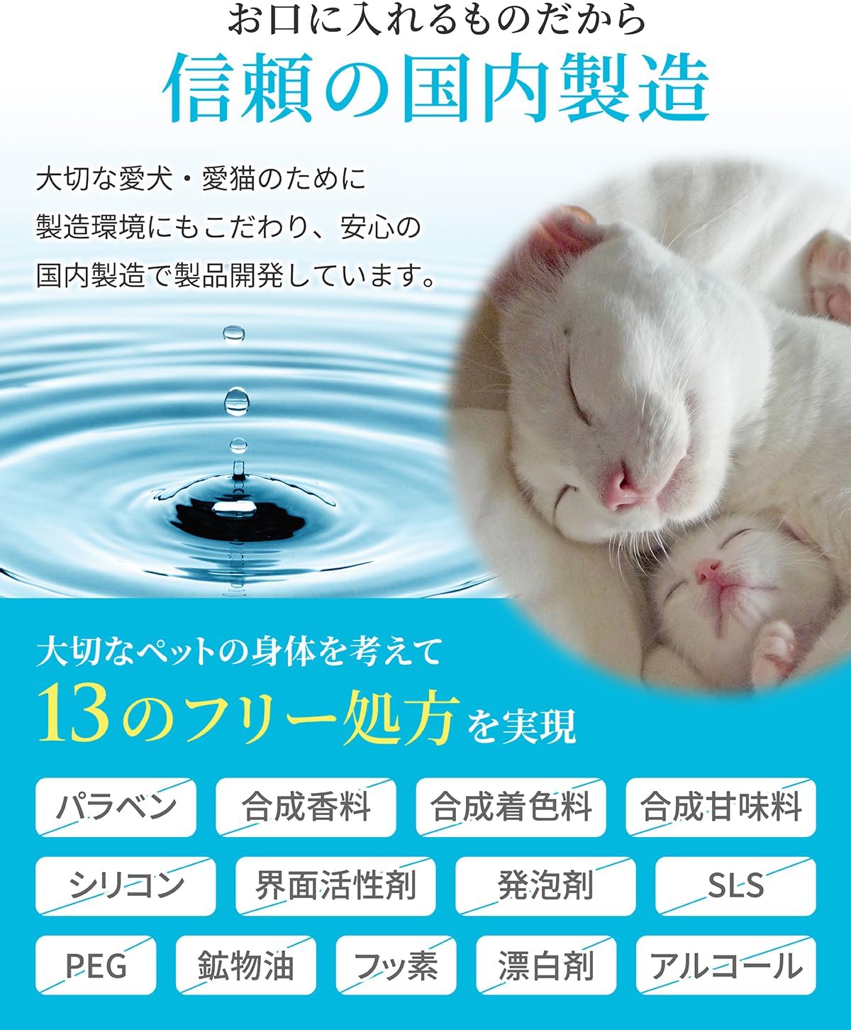 아니하 강아지 고양이 액상 치약 200mL × 2개 반려동물 덴탈워터 구취 치태 구강관리