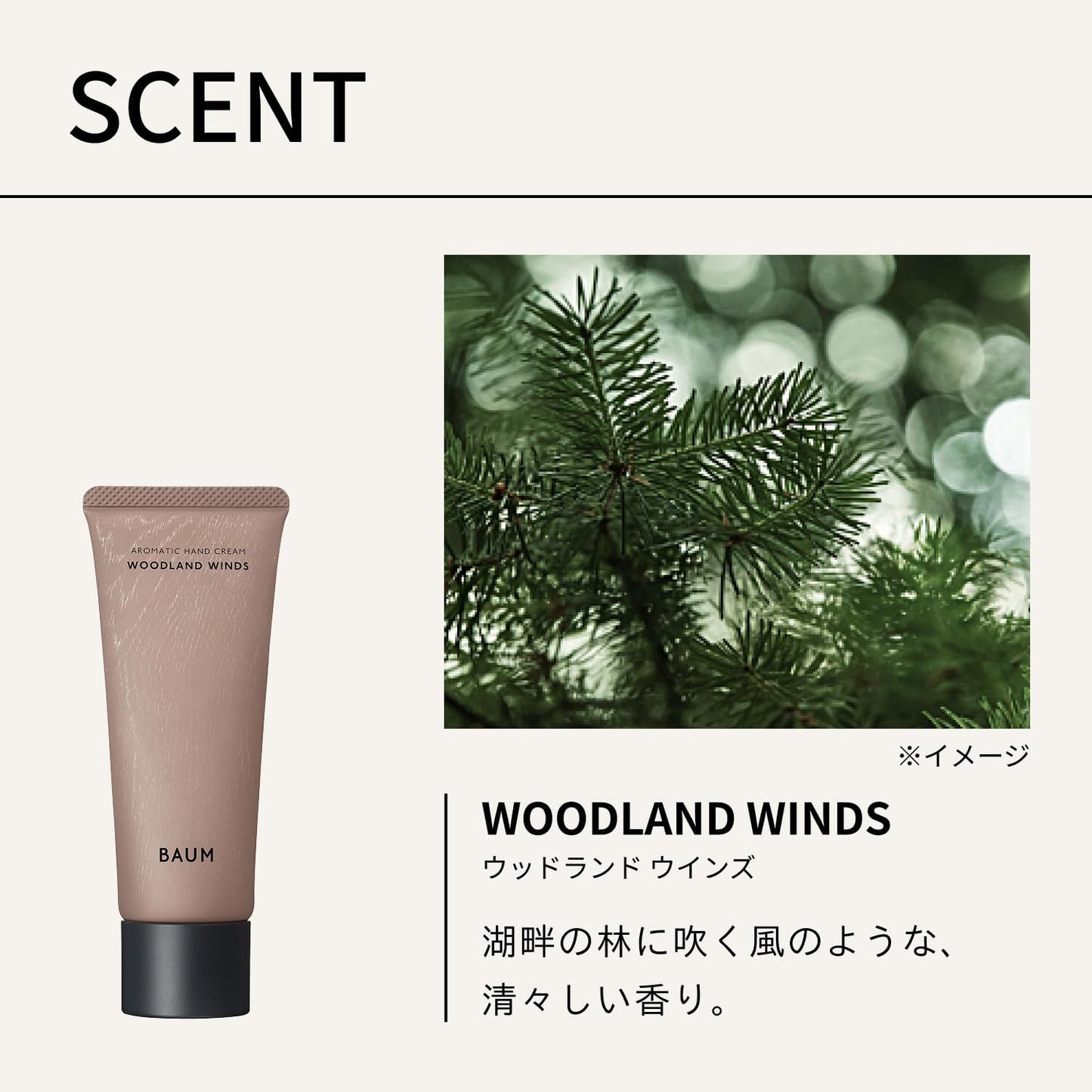 BAUM 아로마틱 핸드크림 n 75g WOODLAND WINDS 향
