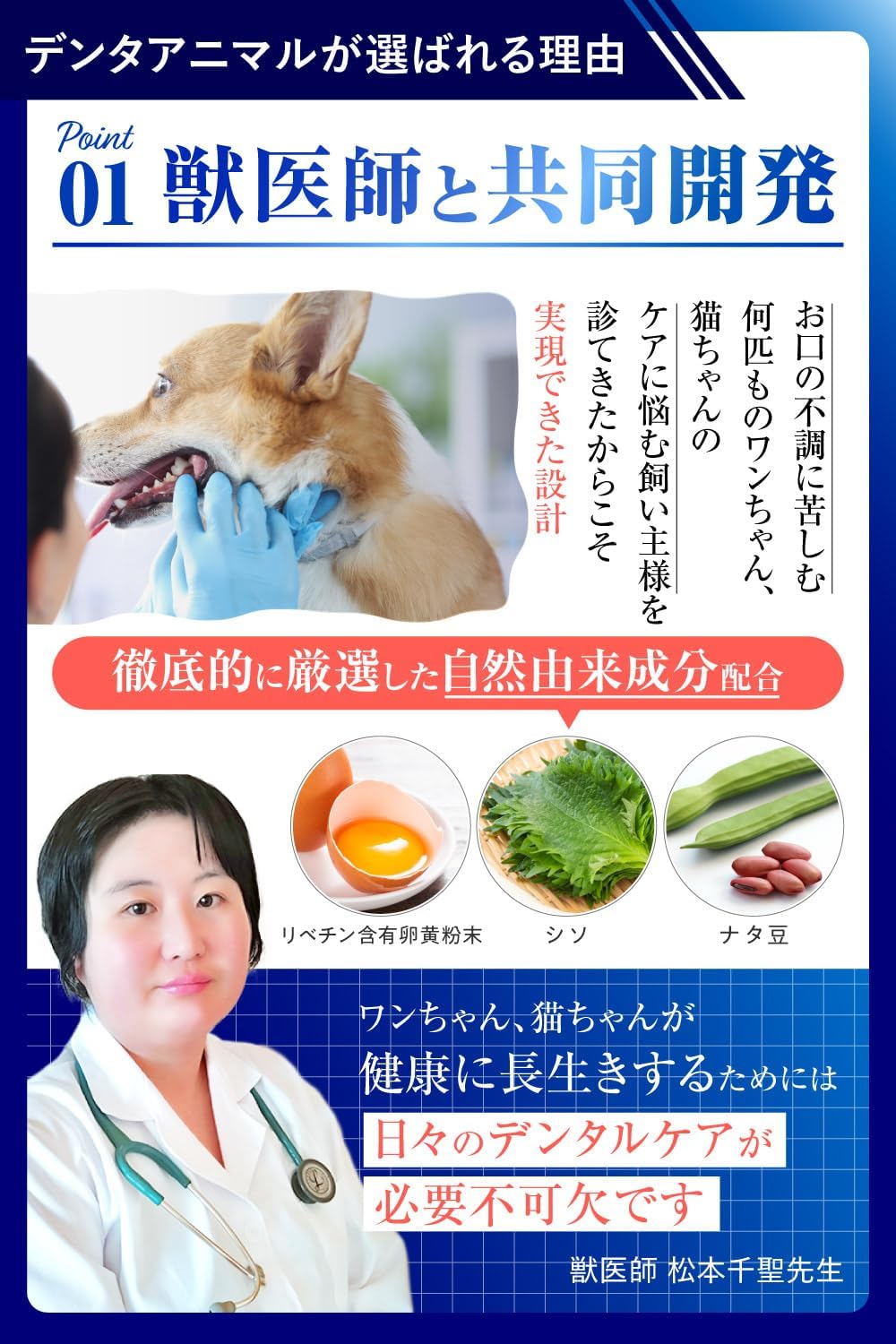 덴타애니멀 강아지 고양이 덴탈 젤 40g 반려동물 구강관리 치약 구취 케어