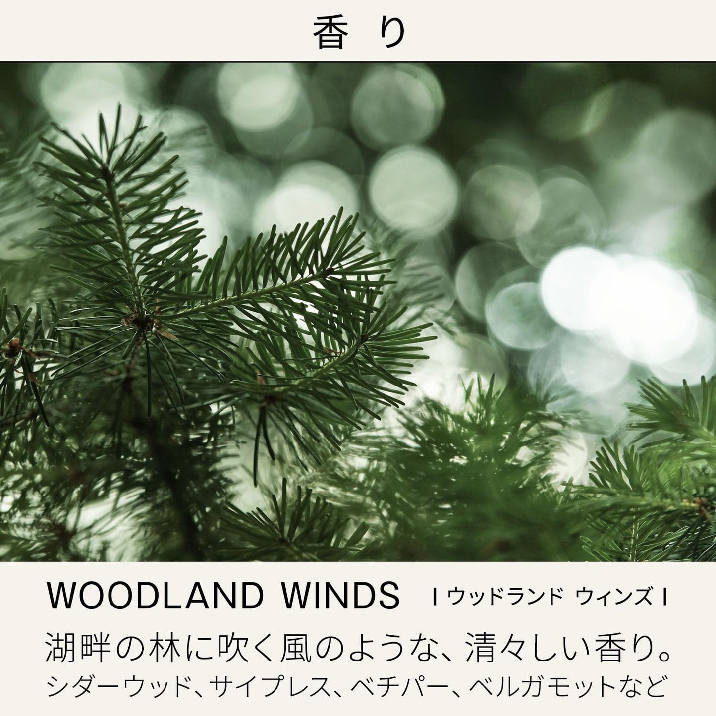 BAUM 모이스처라이징 에멀전 n (리필용) 100mL