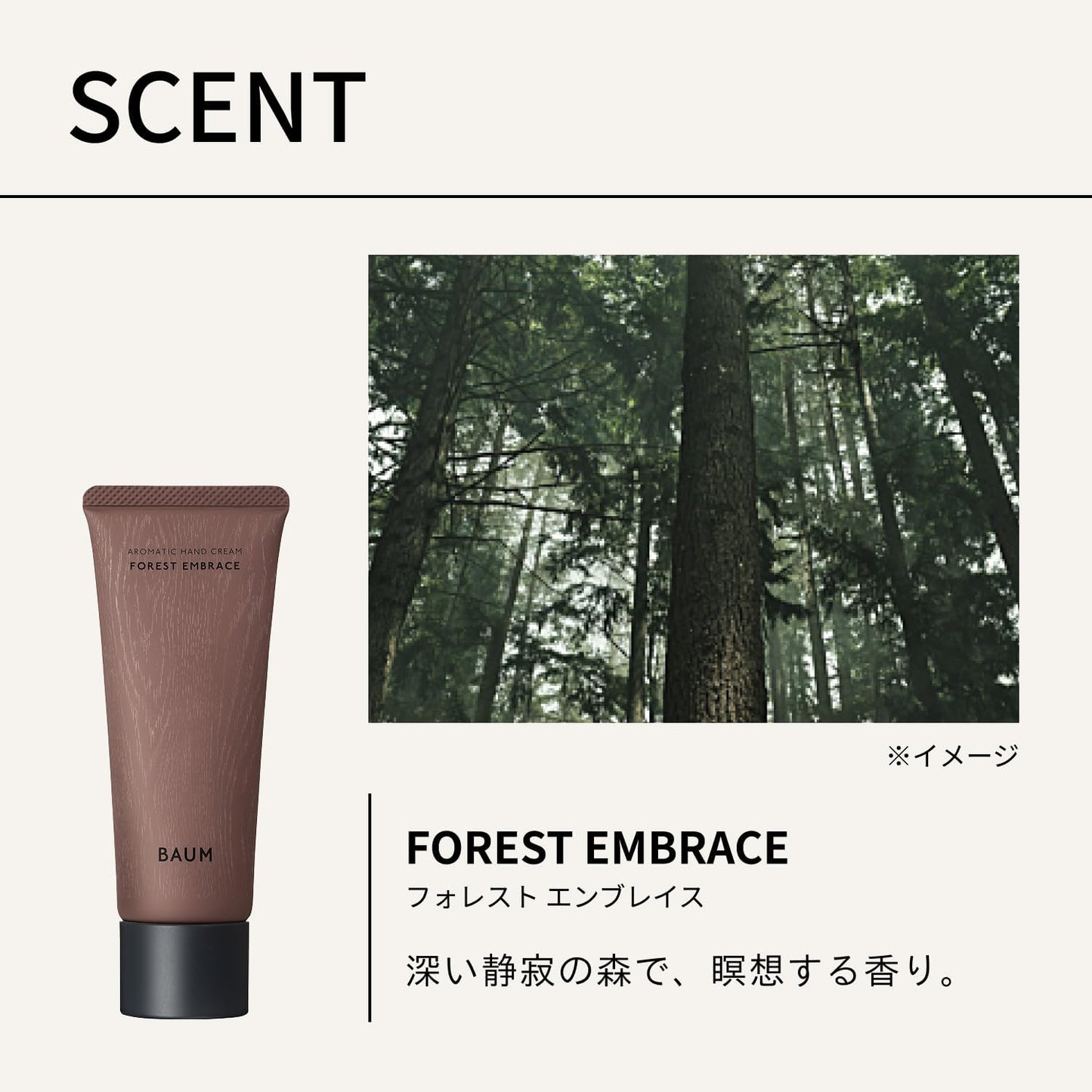 BAUM 아로마틱 핸드크림 n 75g FOREST EMBRACE 향