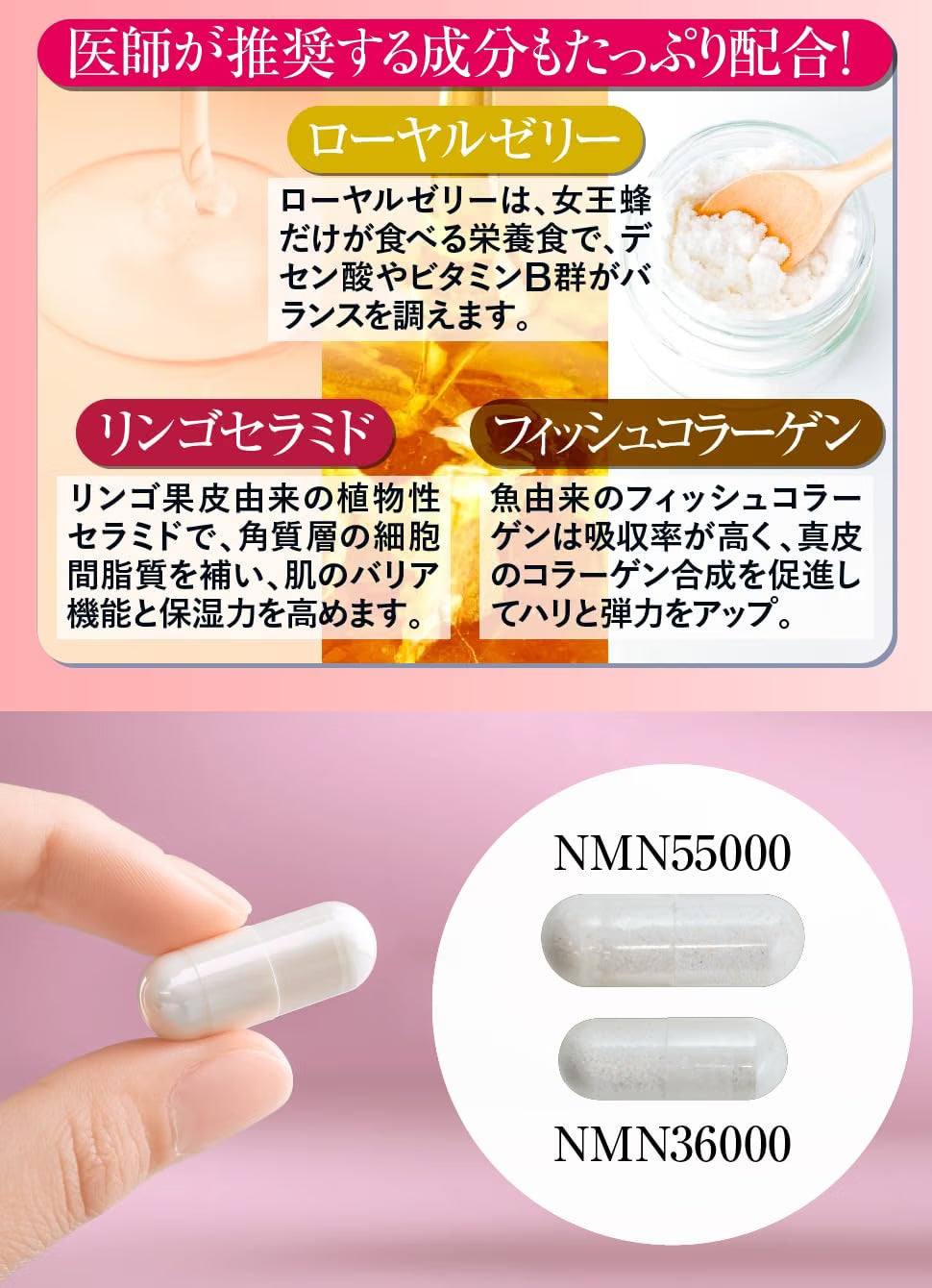 CLAUDIA 클라우디아 NMN 메가 55000mg 고순도 99.9% 120캡슐 약 4개월분 일본제조
