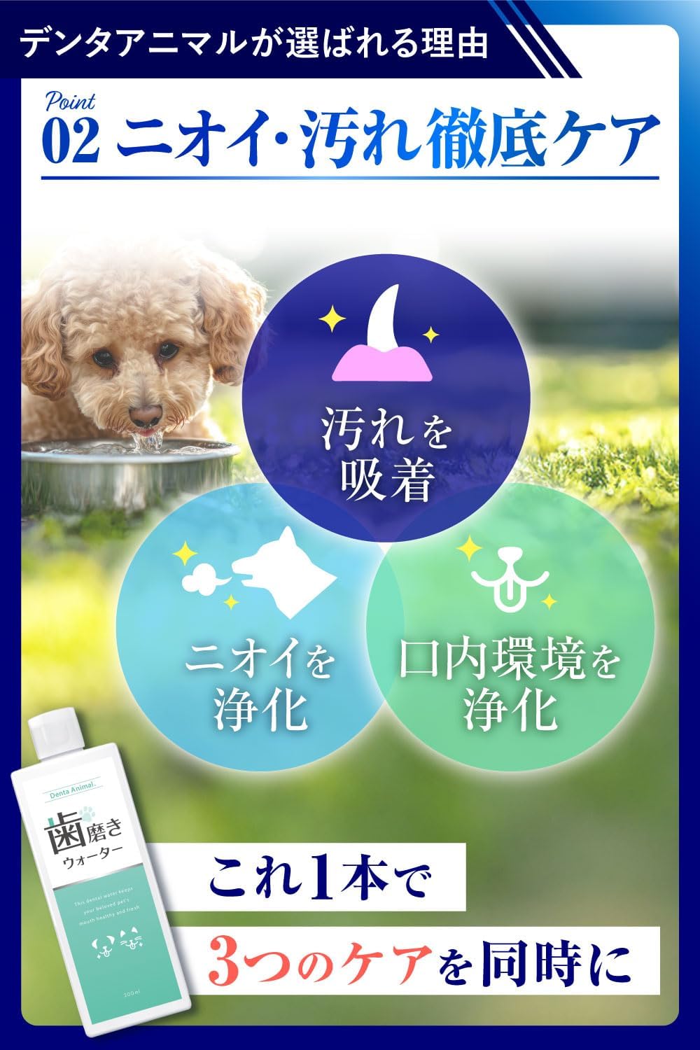 덴타애니멀 반려동물 구강 케어 워터 200mL 강아지 고양이 덴탈워터 구취 치석 관리