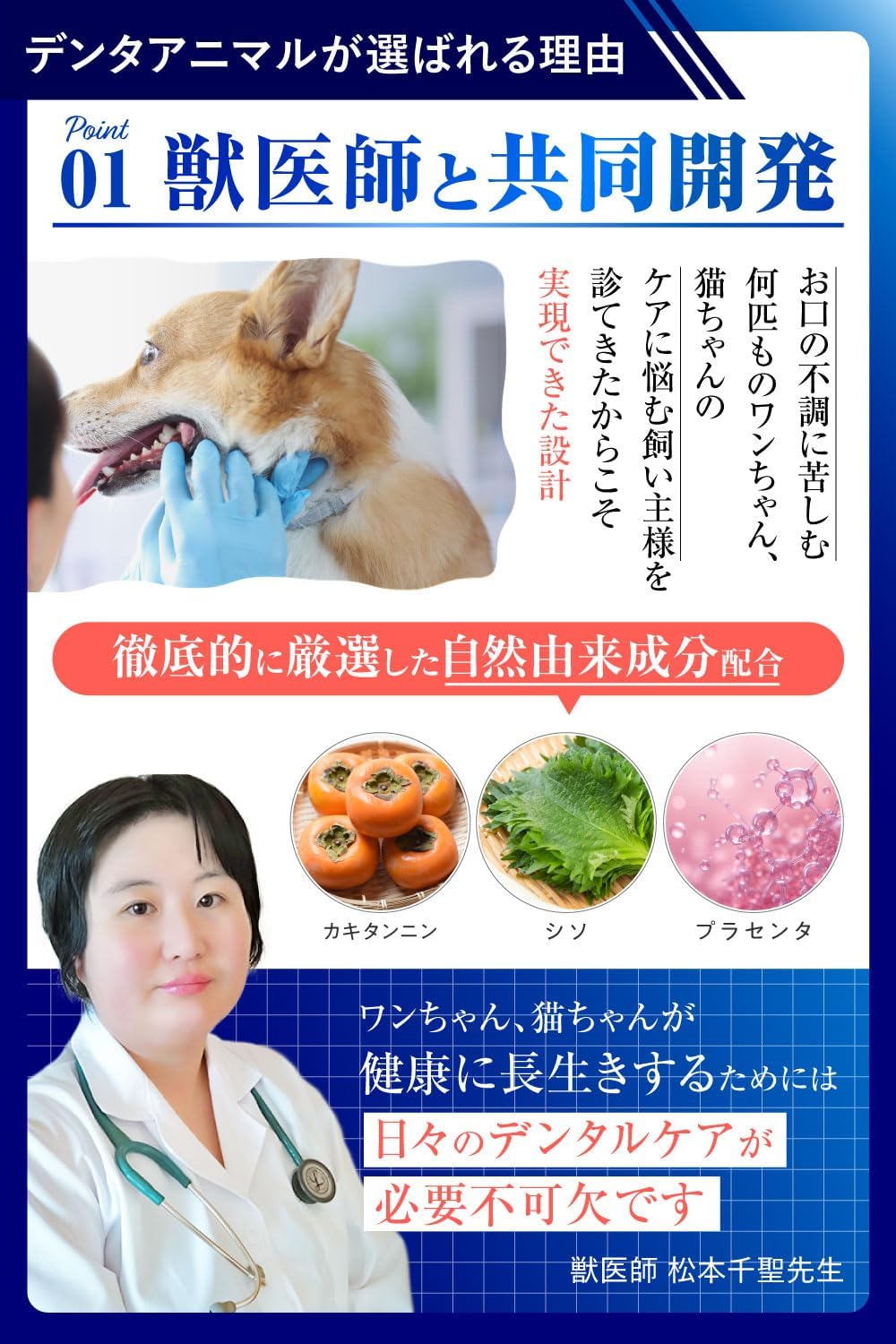 덴타애니멀 반려동물 구강 케어 워터 200mL 강아지 고양이 덴탈워터 구취 치석 관리