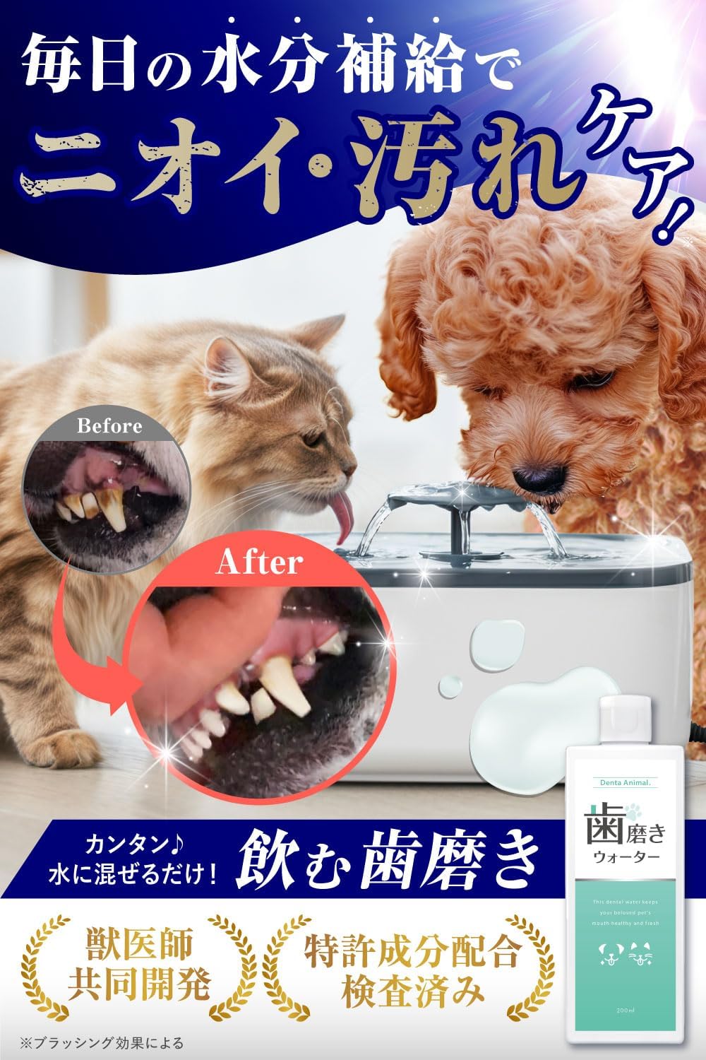 덴타애니멀 반려동물 구강 케어 워터 200mL 강아지 고양이 덴탈워터 구취 치석 관리