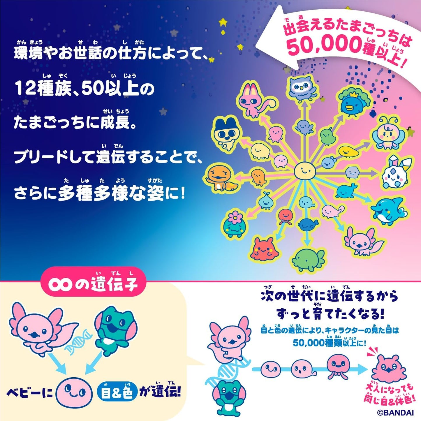 [반다이] 다마고치 파라다이스 - 퍼플 스카이 (Tamagotchi Paradise - Purple Sky)